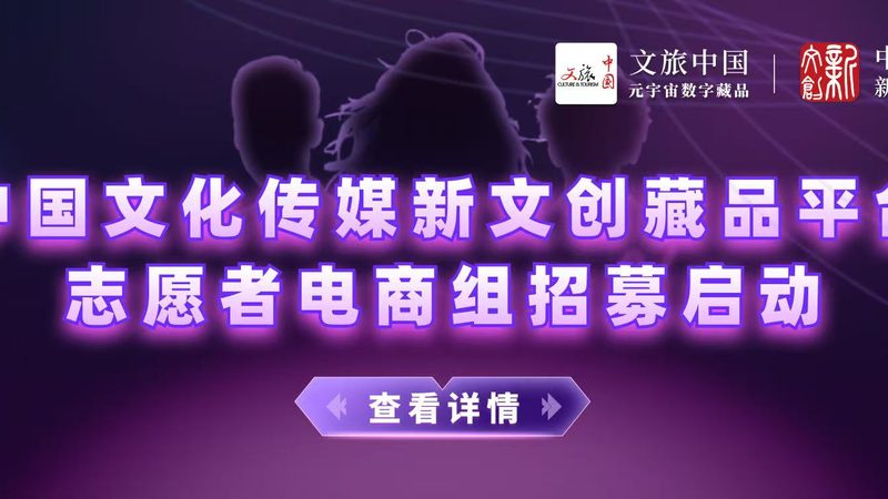 VI设计标准规范：企业视觉识别系统的基石